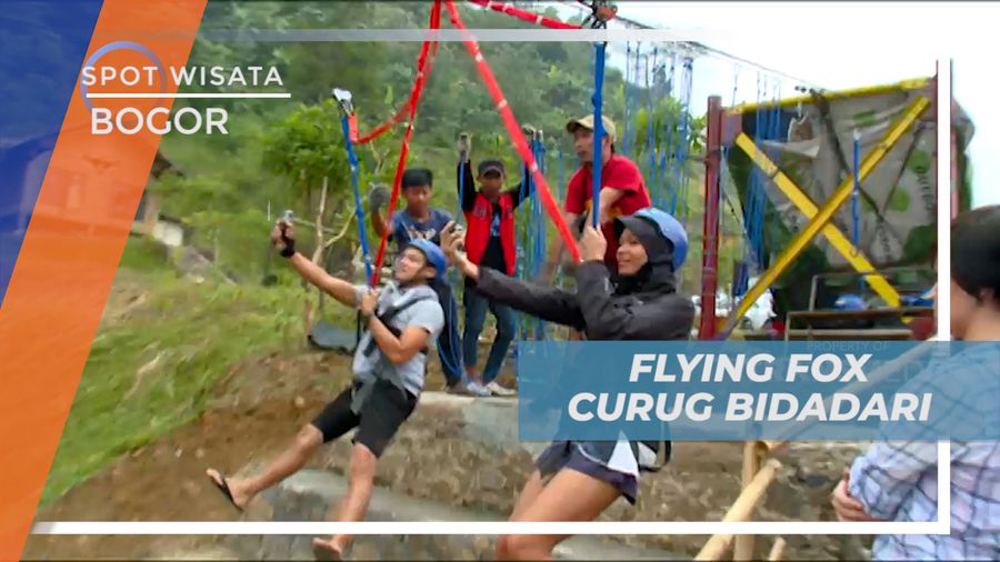 Pacu Adrenalin, Meluncur Seru Dengan Flying Fox di Kawasan Curug Bidadari, Bogor