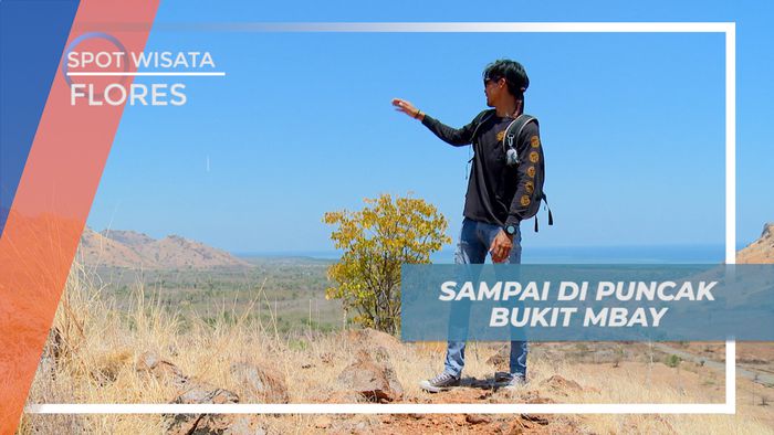 Sampai di Puncak Bukit Mbay, Dimanjakan Panorama Indah Alam Flores