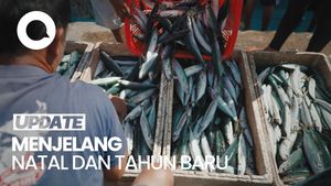Ramainya Aktivitas Pelelangan Ikan Tobelo Menjelang Akhir Tahun