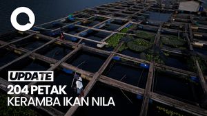 Kolaborasi TNI-Warga, Manfaatkan Danau Galela untuk Budidaya Ikan Air Tawar