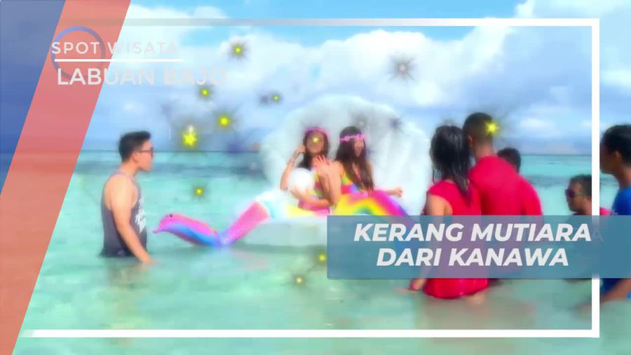 Melihat Kerang Mutiara di Dermaga Kayu Pulau Kanawa Labuan Bajo