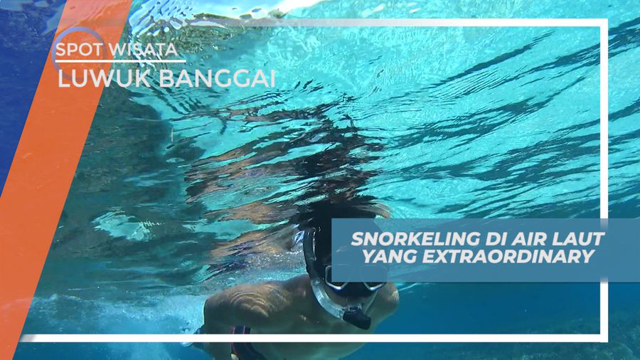 Mengintip Pesona Keindahan Bawah Laut Pulau Tinalapu yang Extraordinary, Luwuk Banggai