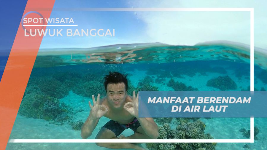 Pulau Tinalapu, Menikmati Beragam Manfaat Berendam di Laut, Luwuk Banggai