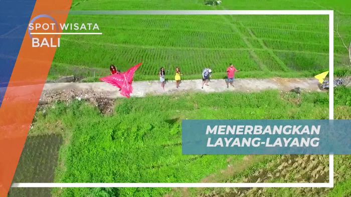 Menerbangkan Layang-layang di Wisata Persawahan Bali 
