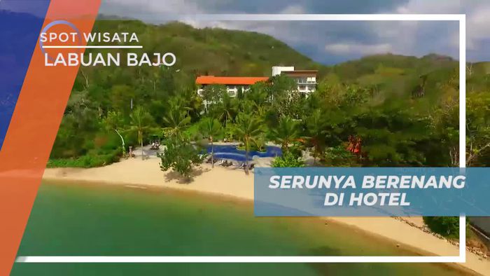 Berenang Seru Menikmati Sensasi Segar di Kolam Penginapan Labuan Bajo