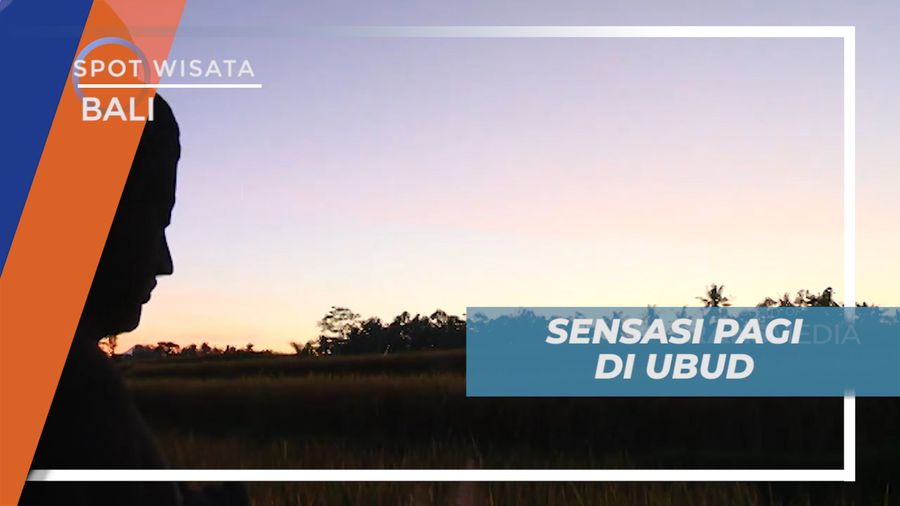 Menikmati Segarnya Udara Pagi Persawahan di Ubud, Bali
