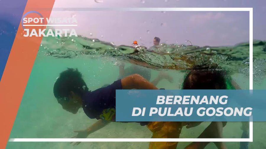 Berenang Seru di Pulau Gosong Kepulauan Seribu 