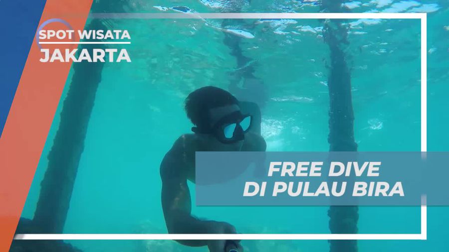 Pulau Bira Kepulauan Seribu, Menyelam Bebas Menikmati Keindahan Bawah Lautnya