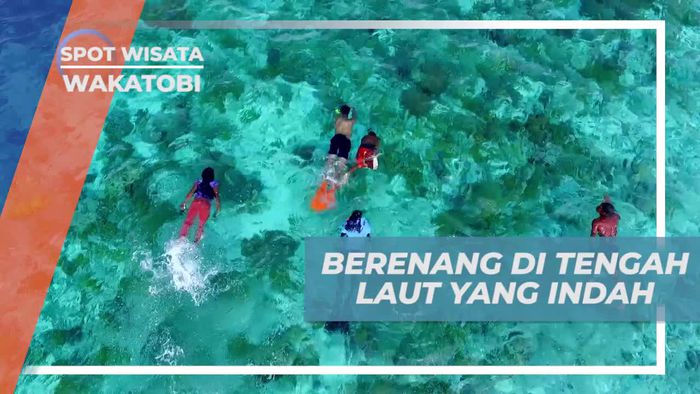 Bersantai dan Berenang di Laut Indah Wakatobi