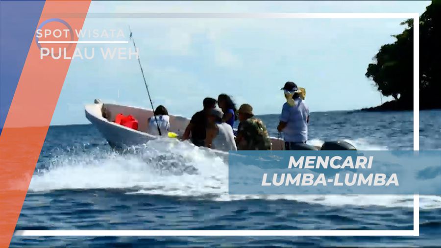 Pengalaman Seru, Mencari Keberadaan Lumba-lumba di Tengah Laut Pulau Weh