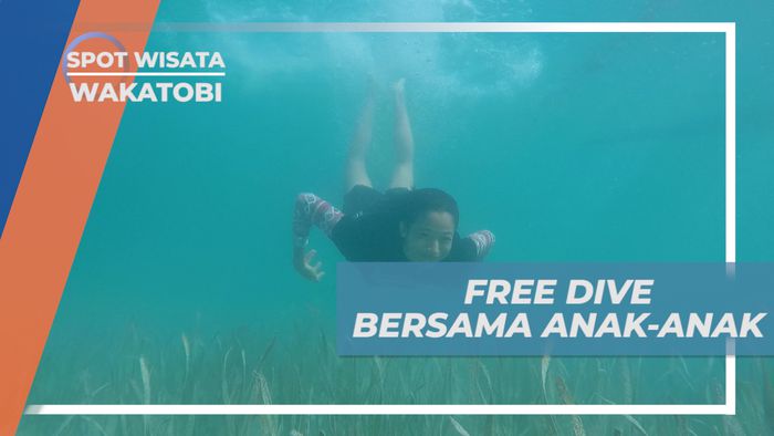 Menjelajahi Pesona Keindahan Bawah Laut Darawa yang Memukau, Wakatobi