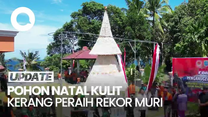 Penampakan Pohon Natal Kulit Kerang yang Raih Rekor Muri