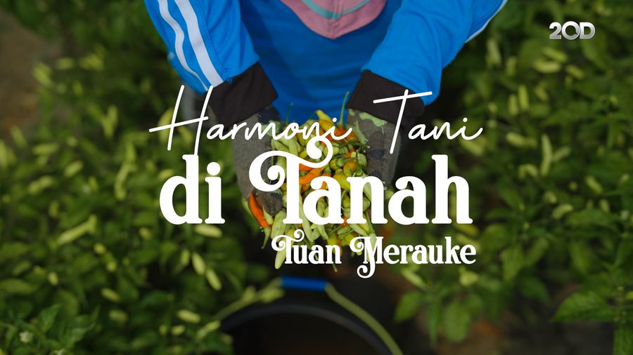 Harmoni Tani di Tanah Tuan Merauke