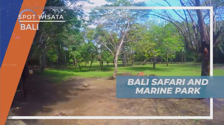 Mengisi Liburan, Seru-seruan di Taman Wisata Satwa Pulau Dewata, Bali