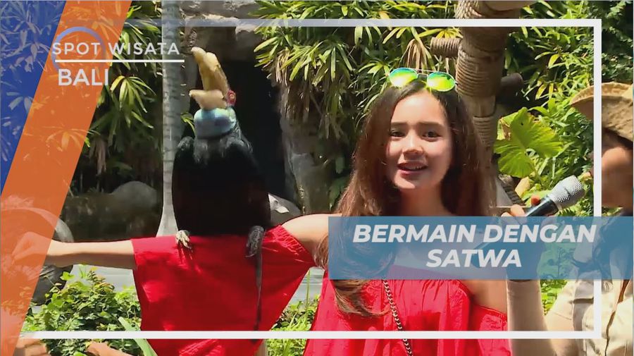 Sensasi Seru, Berinteraksi Dengan Satwa-satwa Lucu Menggemaskan, Bali