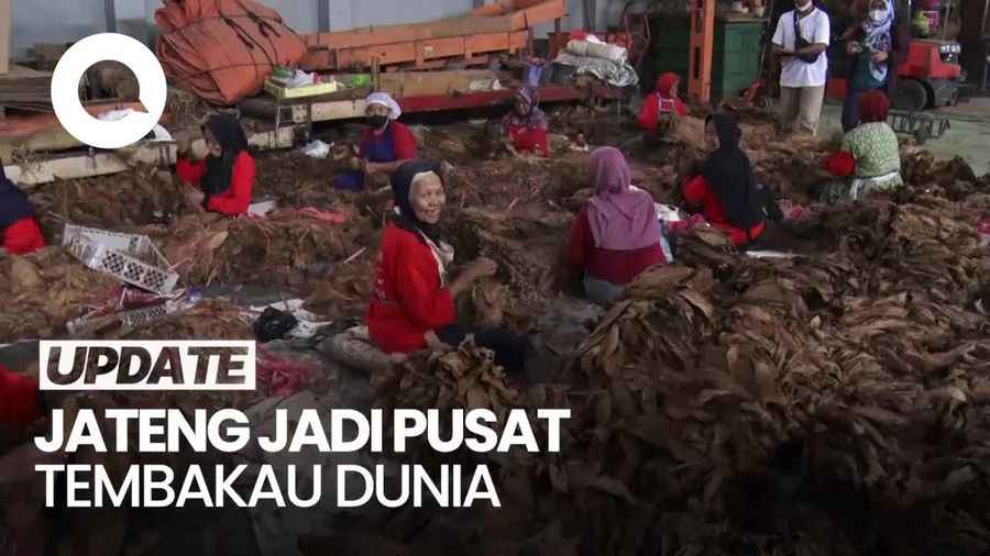 Ganjar Dorong Jateng Jadi Pusat Tembakau Dunia, Singgung Hilirisasi
