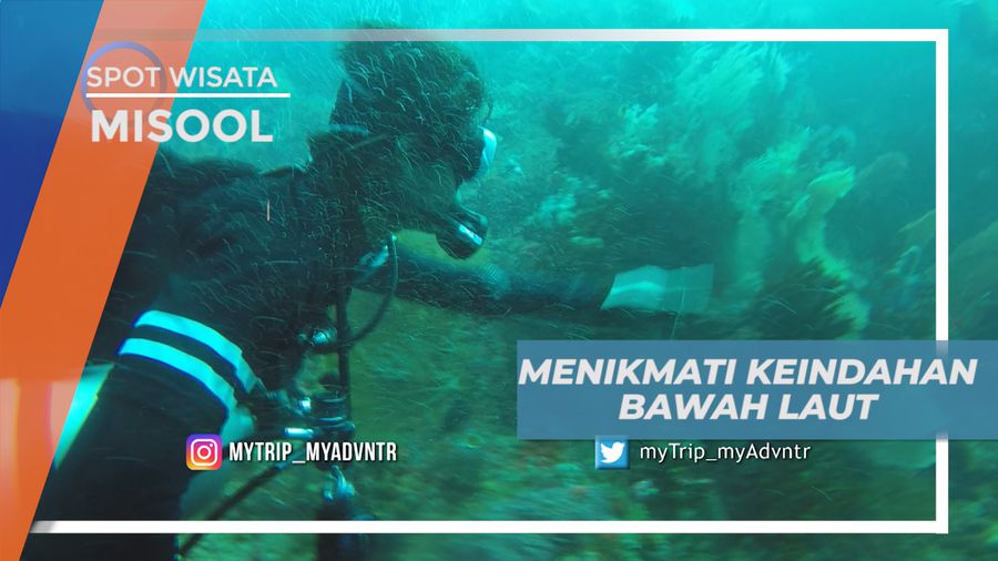 Melihat Dari Dekat Surga Bawah Laut di Misool