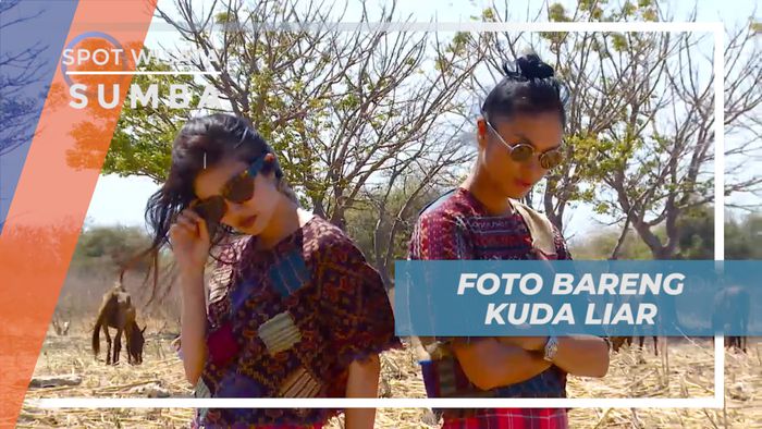 Cekrak-cekrek Berpose Seru Bareng Kuda Liar di padang Savana, Sumba