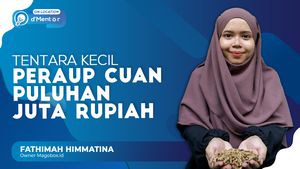Usaha Larva Lalat Penghasil Pundi-pundi Cuan Puluhan Juta
