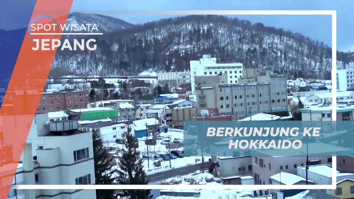 Merasakan Puncak Musim Dingin di Kota Hokaido, Jepang