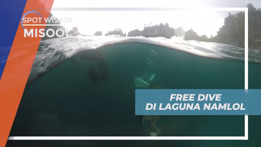 Menjelajahi Keindahan Bawah Air Laguna Namnol, Misool