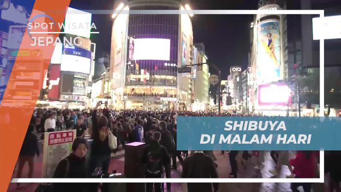 Menikmati Suasana Malam Dengan Jalan-jalan di Shibuya Crossing Jepang