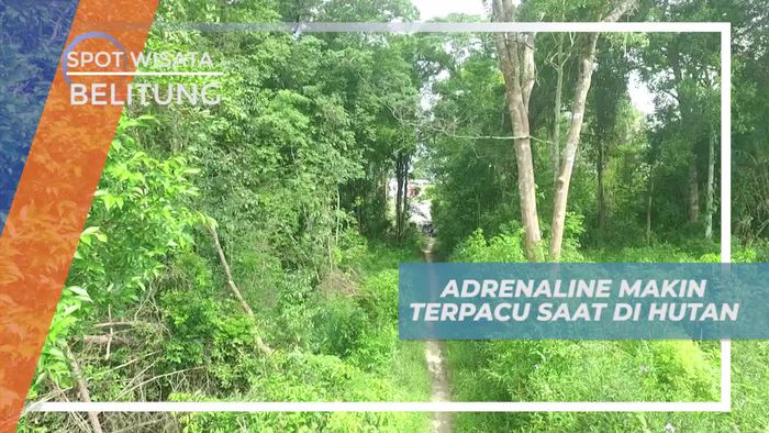Menyusuri Hutan Memacu Kendaraan Untuk Uji Adrenalin, Belitung 