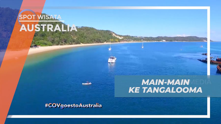 Liburan Seru di Negeri Kanguru, Mengunjungi Indahnya Pulau Moreton, Australia