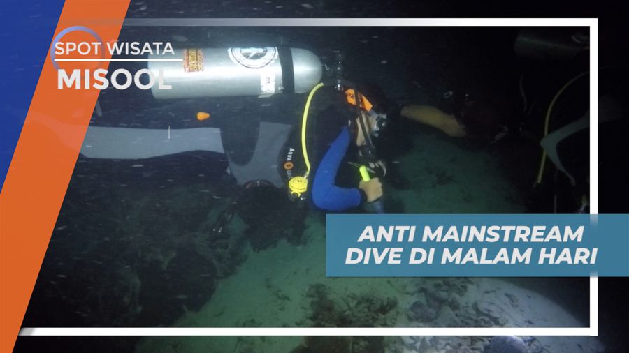Sensasi Menjelajahi Pemandangan Bawah Laut Saat Malam Hari di Kepulauan Misool
