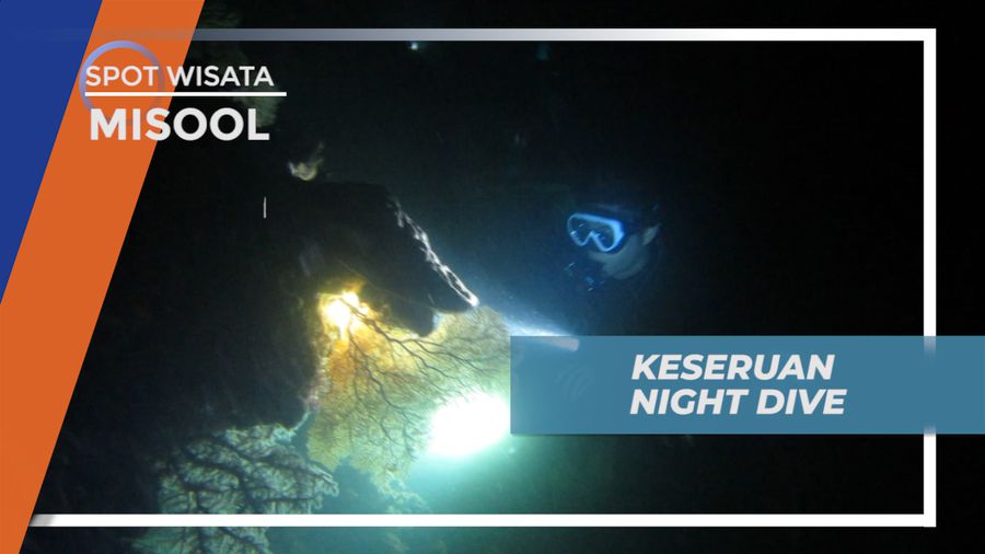 Menikmati Sensasi Seru Night Dive di Kepulauan Misool