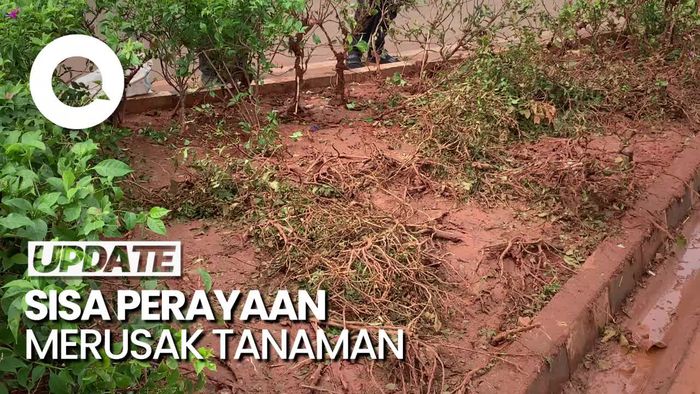 Penampakan Tanaman Rusak di Sekitar Bundaran HI Seusai Perayaan Tahun Baru