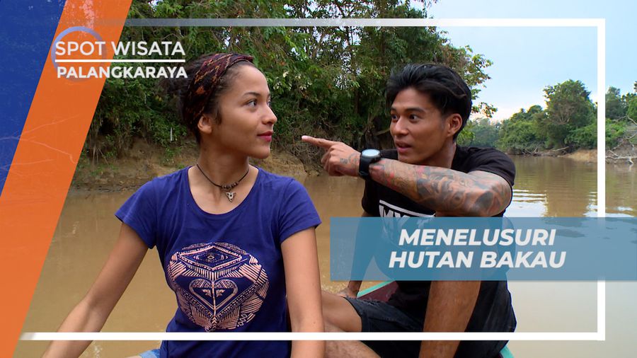 Menikmati Menelusri Sungai Berkelok Membelah Hutan Bakau, Palangkaraya