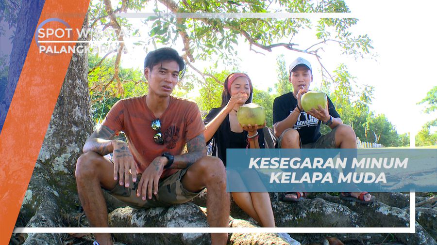 Menikmati Siang Sambil Minum Kesegaran Es Kelapa Muda di Bukit Batu Tjilik Riwut, Palangkaraya