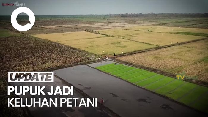 Mentan ke Jokowi: Bapak Presiden, Kami Keliling 11 Provinsi Keluhannya soal Pupuk