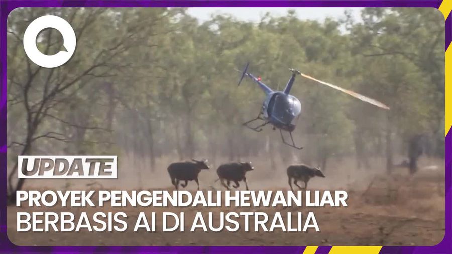 Peneliti Australia Kembangkan Pengendali Ternak Liar Berbasis AI