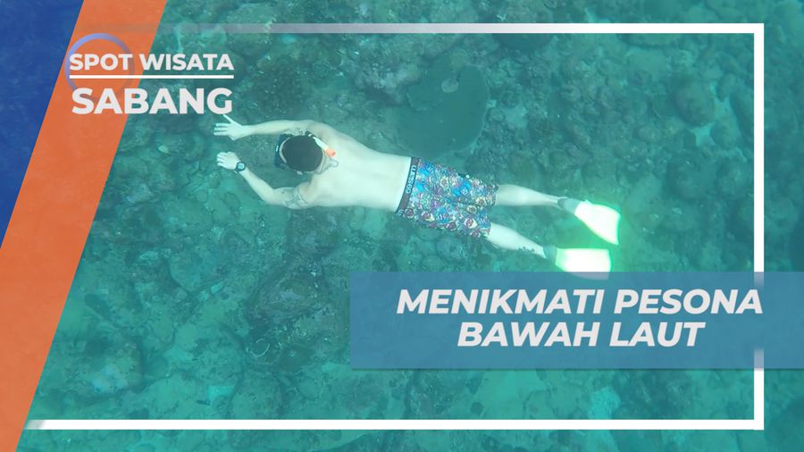 Menjelajahi Pesona Keindahan Bawah Laut Gua Sarang, Sabang