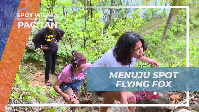 Berjalan Kaki ke Atas Bukit Menuju Spot Flying Fox Pacitan