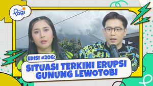 Situasi Terkini Erupsi Gunung Lewotobi 
