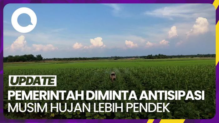 BRIN Minta Sektor Pertanian Waspada Imbas Musim Hujan Lebih Pendek