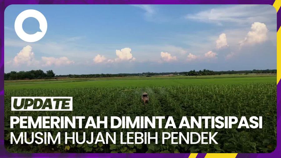 BRIN Minta Sektor Pertanian Waspada Imbas Musim Hujan Lebih Pendek