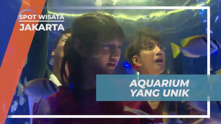 Memiliki Dekorasi Ikan Lucu, Keunikan Jakarta Aquarium 