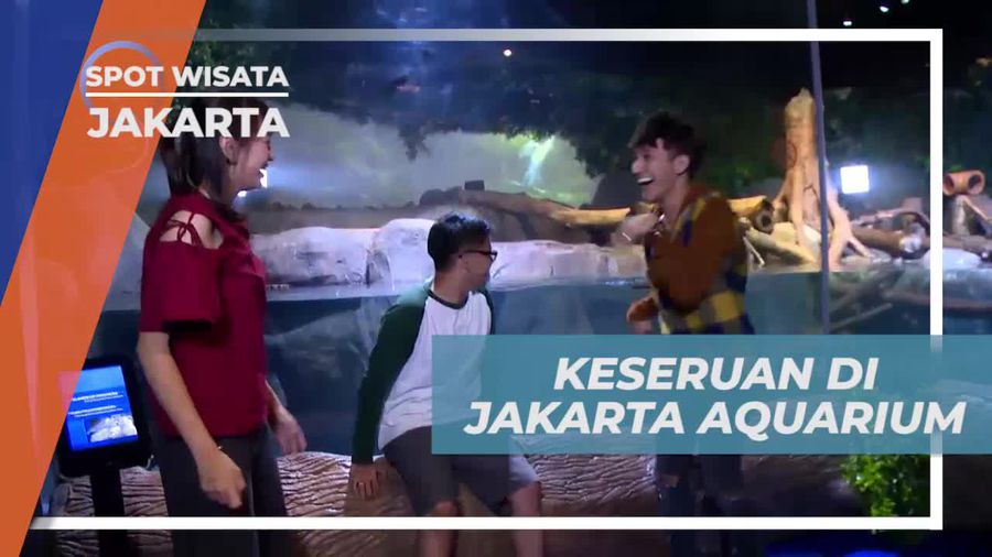 Melihat Tingkah Lucu Berang-berang di Jakarta Aquarium 