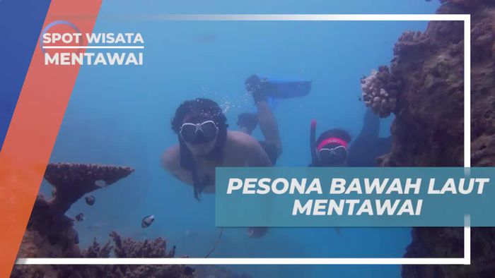 Menyelami Keindahan Bawah Laut Mentawai
