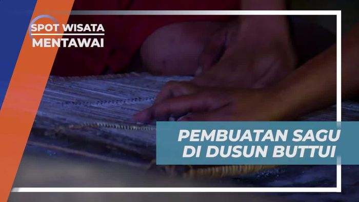 Melihat Pembuatan Sagu di Dusun Buttui, Makanan Pokok Warisan Nenek Moyang Suku Mentawai