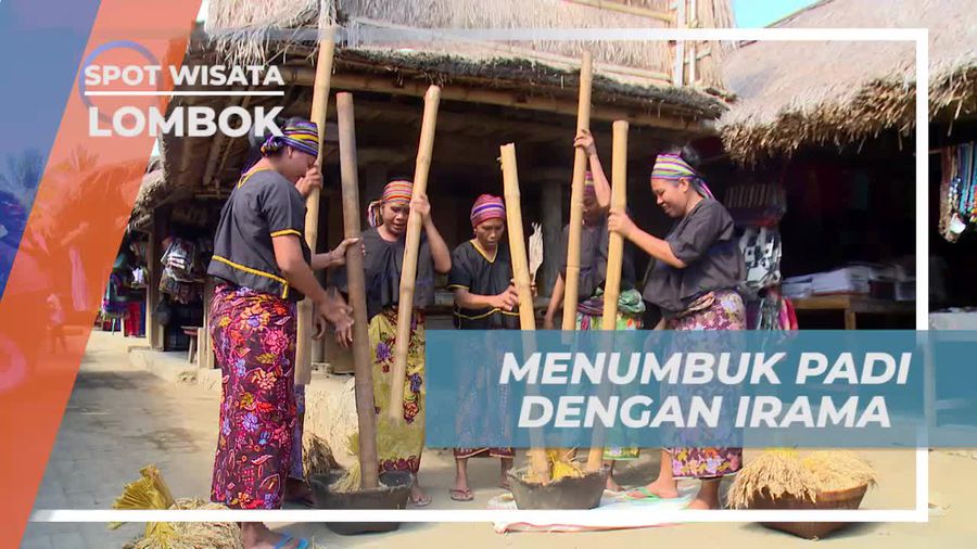 Menumbuk Padi Dengan Irama, Iringan Merdu Ketika Bernyanyi di Desa Sade Lombok