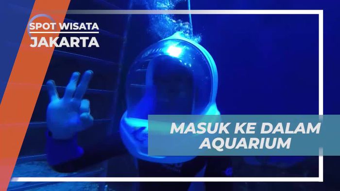 Masuk ke Dalam Aquarium, Pengalaman Seru Berbaur Dengan Ikan, Jakarta 