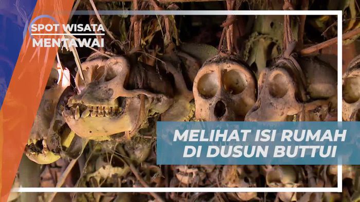 Melihat Rumah Dusun Buttui yang Dibangun Menggunakan 5 Jenis Kayu, Mentawai 