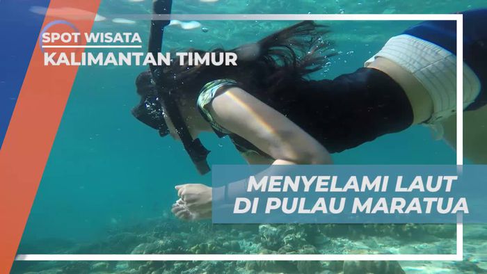 Menyelam ke Dalam Jernihnya Air Laut Pulau Maratua Kalimantan Timur