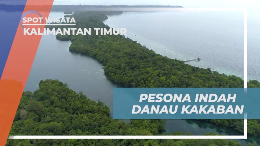 Keindahan Danau Kakaban yang Dikelilingi Hutan Mangrove, Kalimantan Timur 