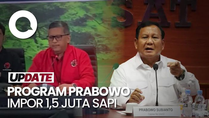Hasto Kritik Rencana Prabowo Impor 1,5 Juta Sapi: Tak Selesaikan Stunting